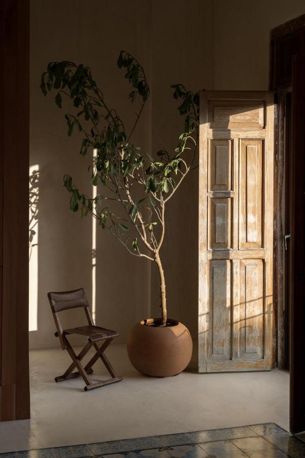Narrativ Lofts - Numen - Stylish Hideaway